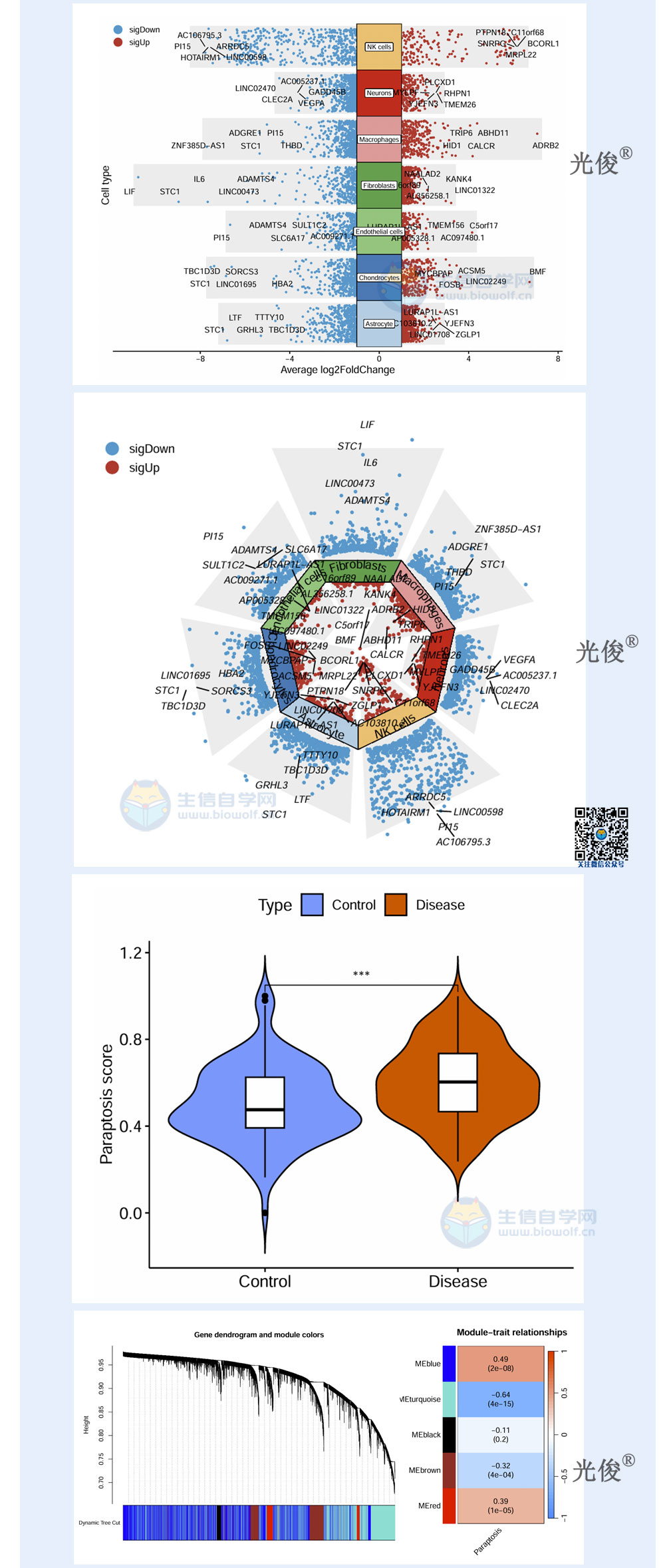 1770764353413159.jpg 251详情_03.jpg