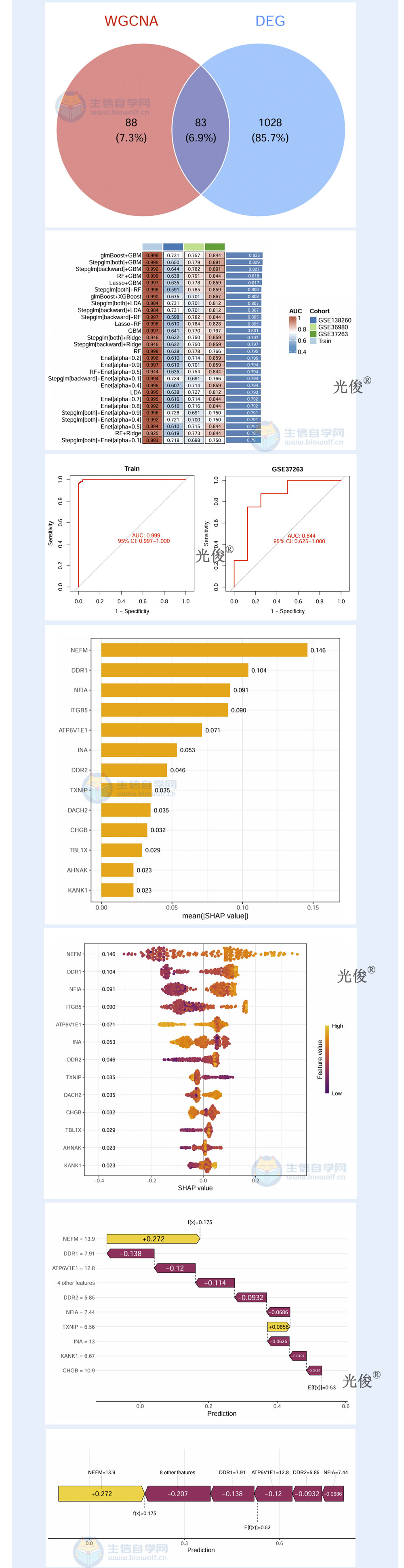 1770764356261118.jpg 251详情_04.jpg