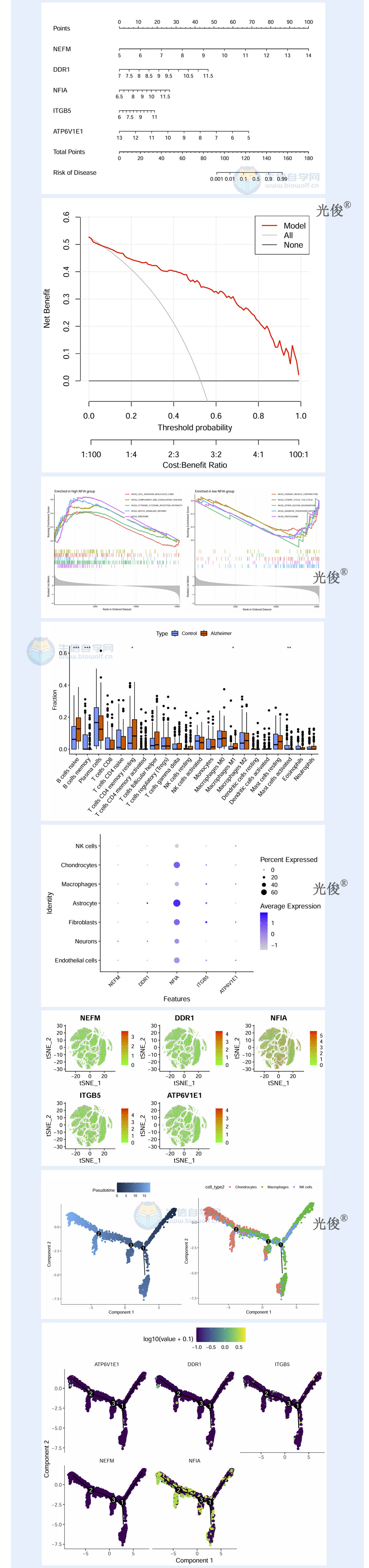 1770764362628736.jpg 251详情_05.jpg