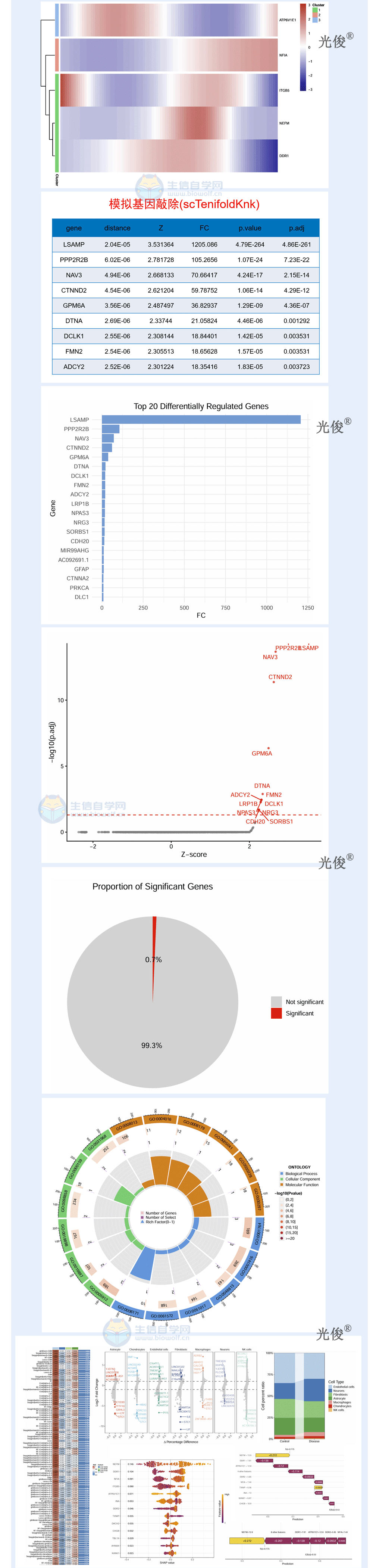 1770764367901649.gif 251详情_06.gif
