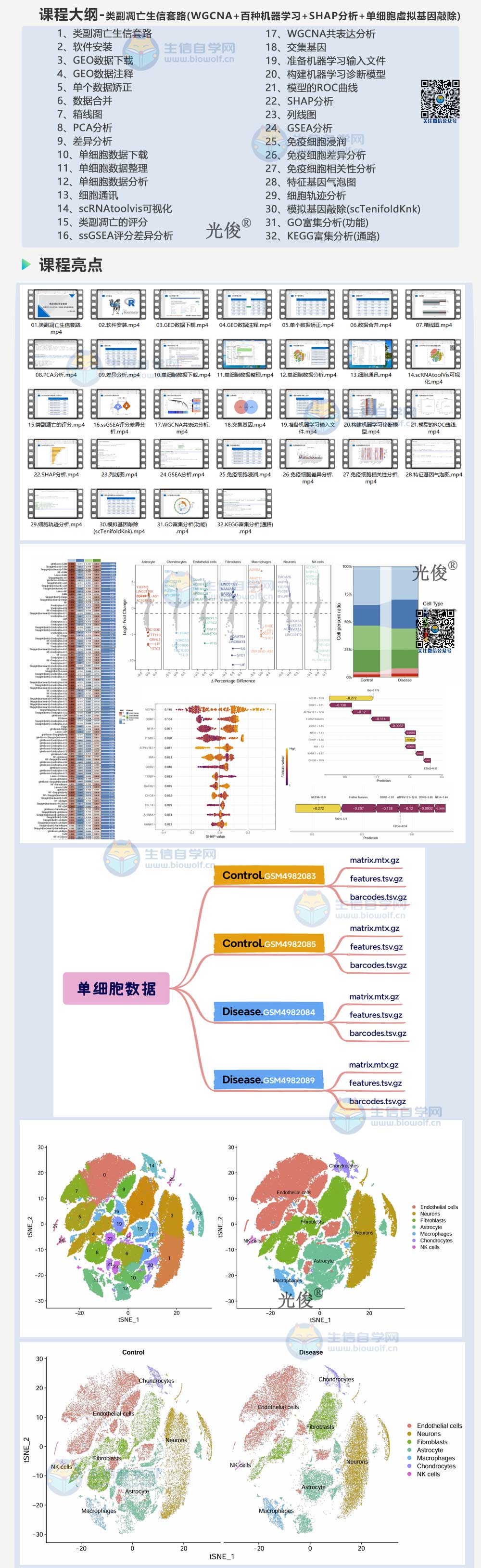 1770989475314035.jpg 251详情_01.jpg