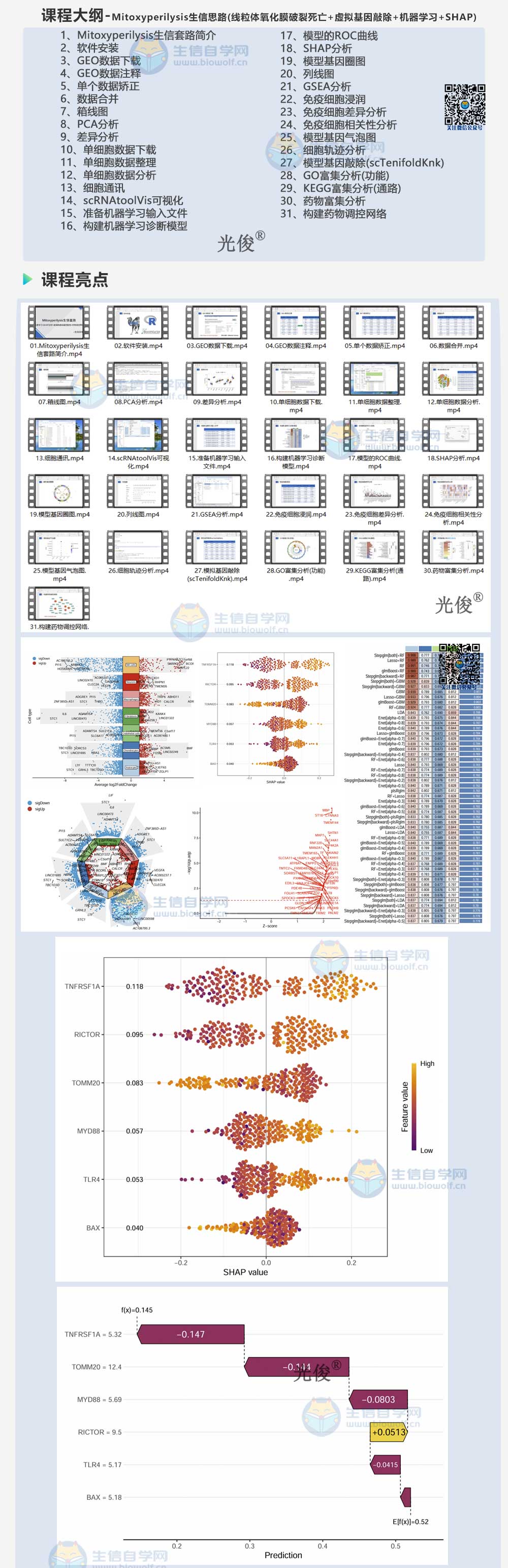 1774392289967218.jpg 255详情_01.jpg