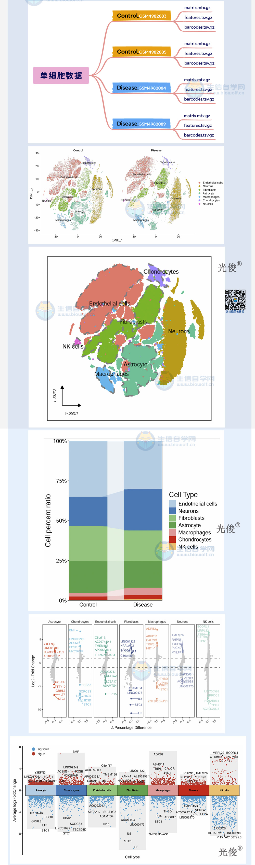 1774392294769329.jpg 255详情_02.jpg