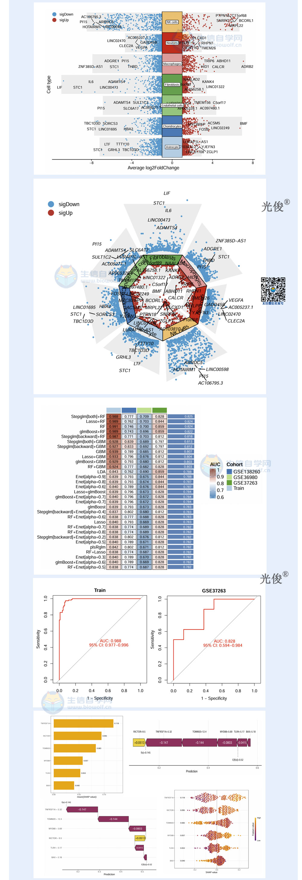 1774392298375613.jpg 255详情_03.jpg