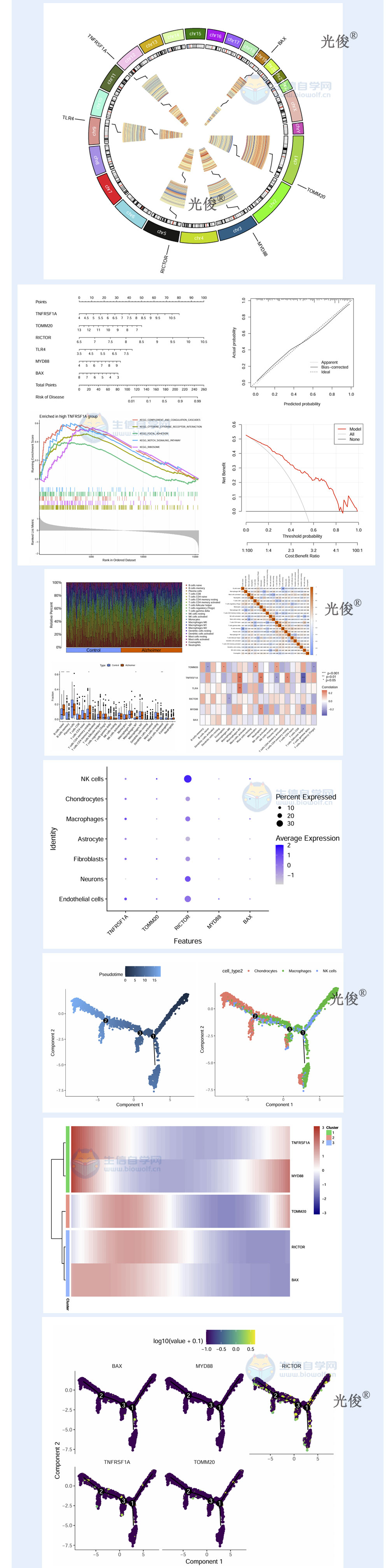 1774392304454576.jpg 255详情_04.jpg