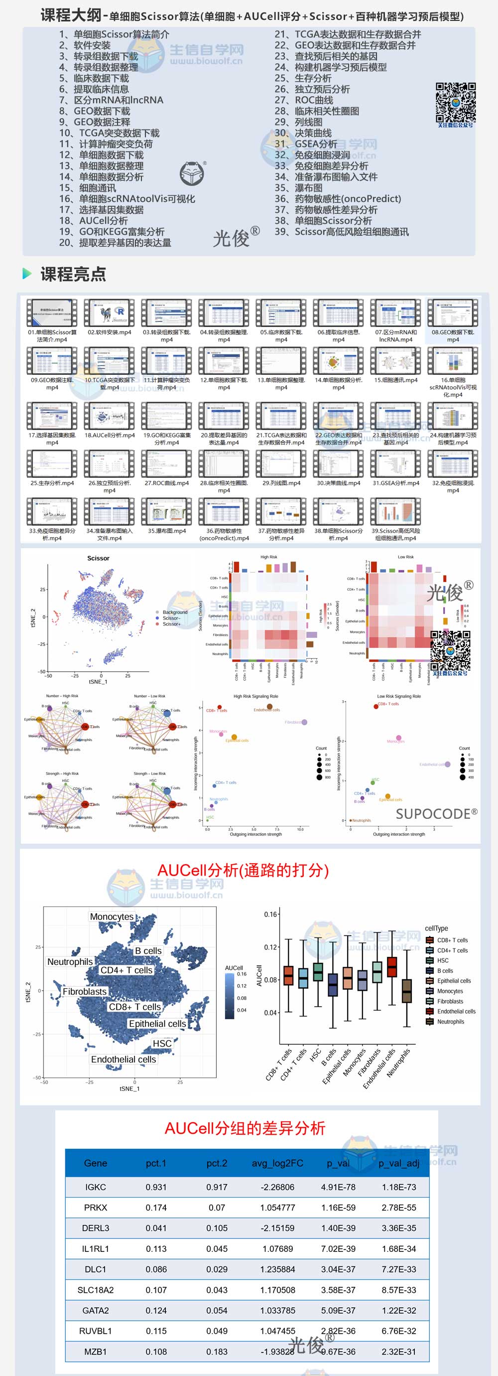 1775599110990129.jpg 256详情_01.jpg