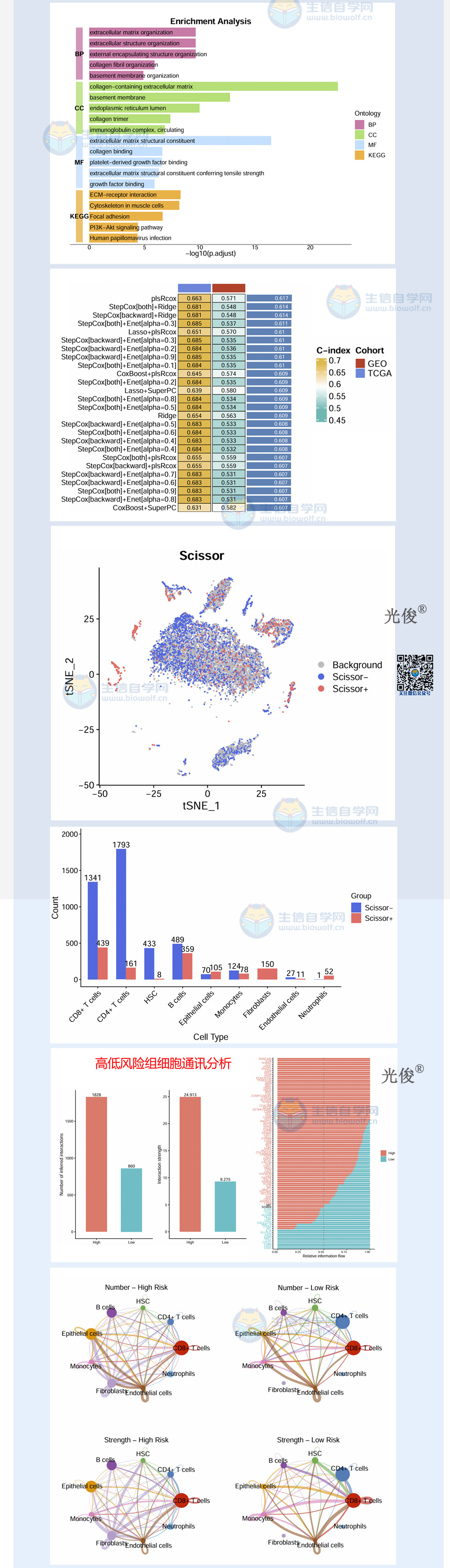 1775599117599426.jpg 256详情_02.jpg