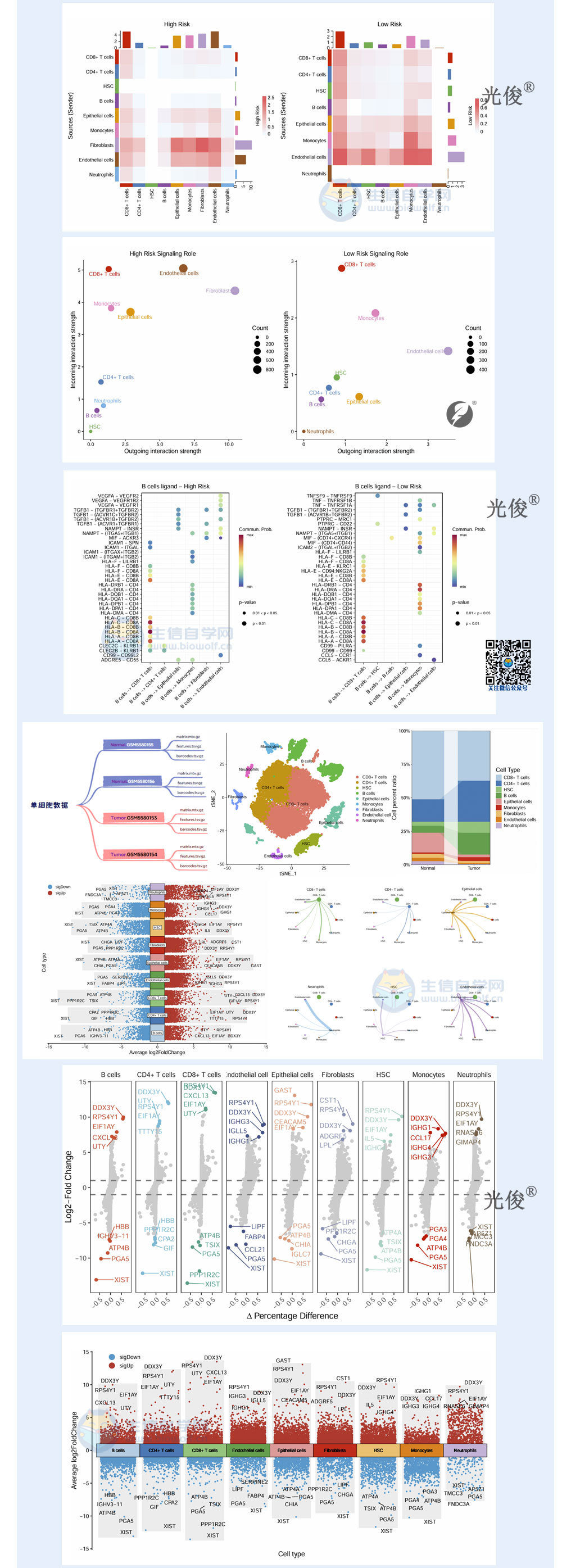 1775599120758241.jpg 256详情_03.jpg