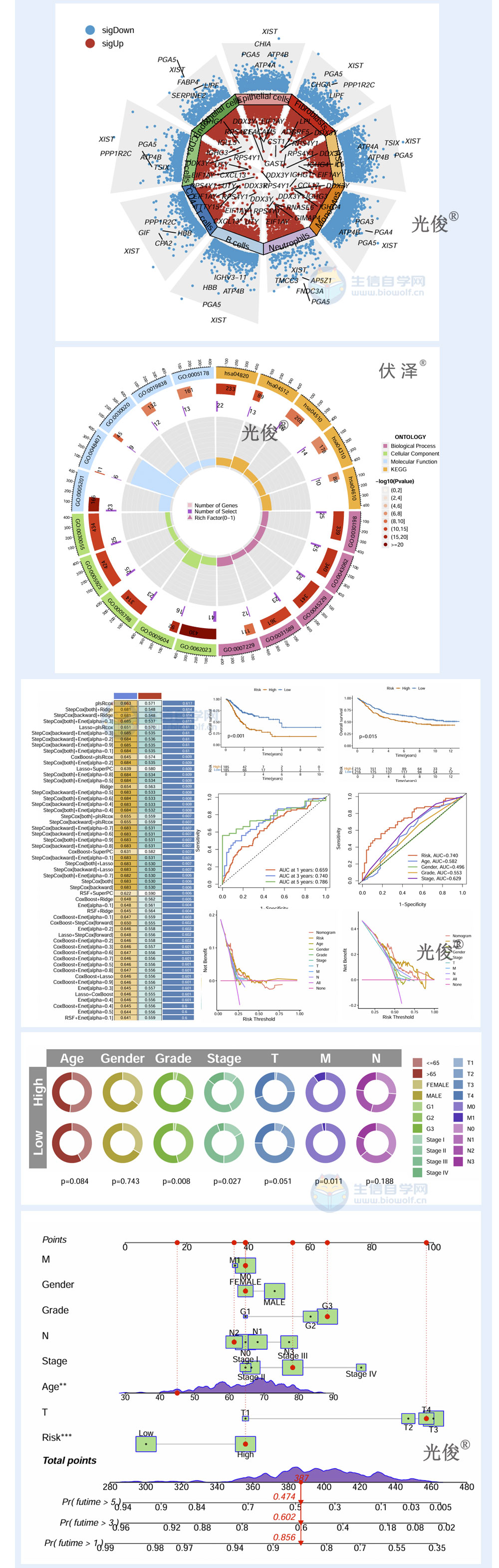 1775599124271024.jpg 256详情_04.jpg