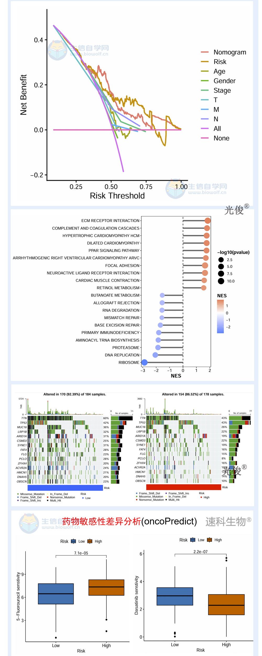 1775599130891683.jpg 256详情_05.jpg