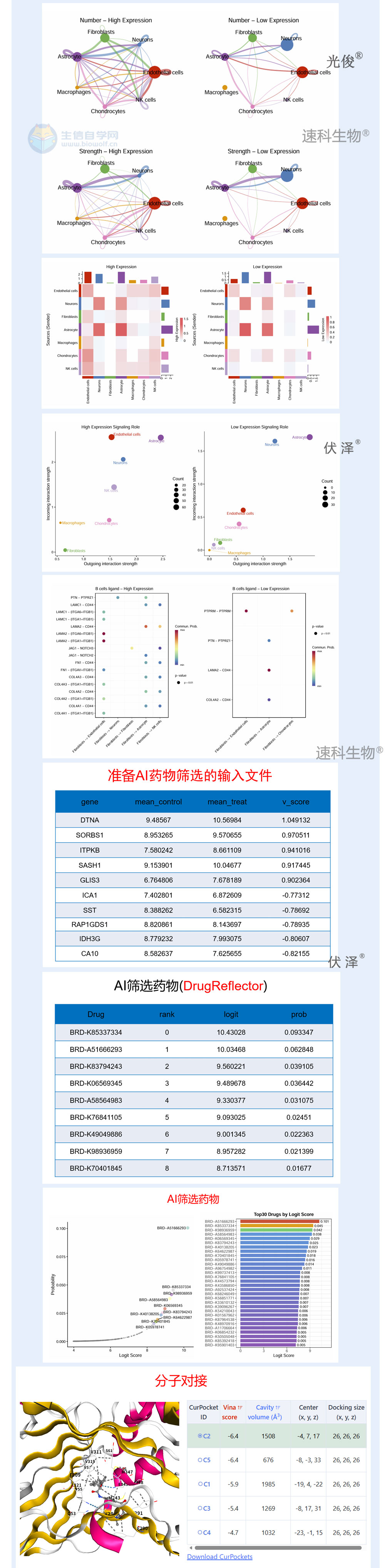 260详情_05.jpg