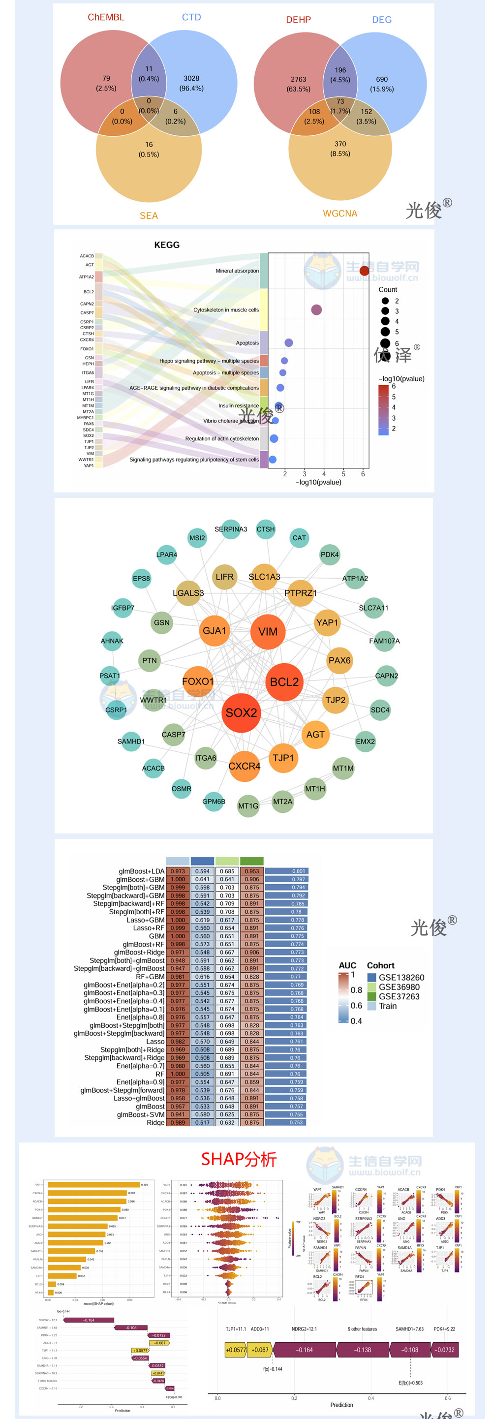 261详情_04.jpg