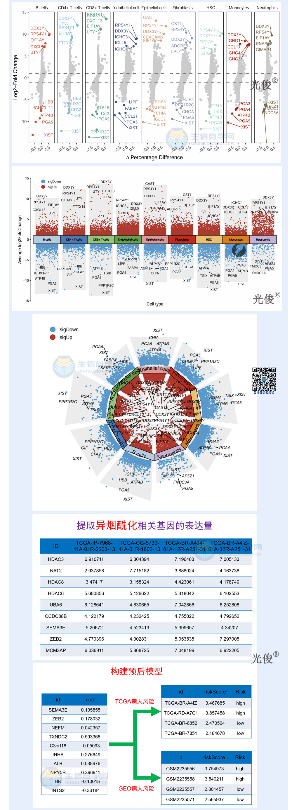 1781127064652015.jpg 263详情_03.jpg