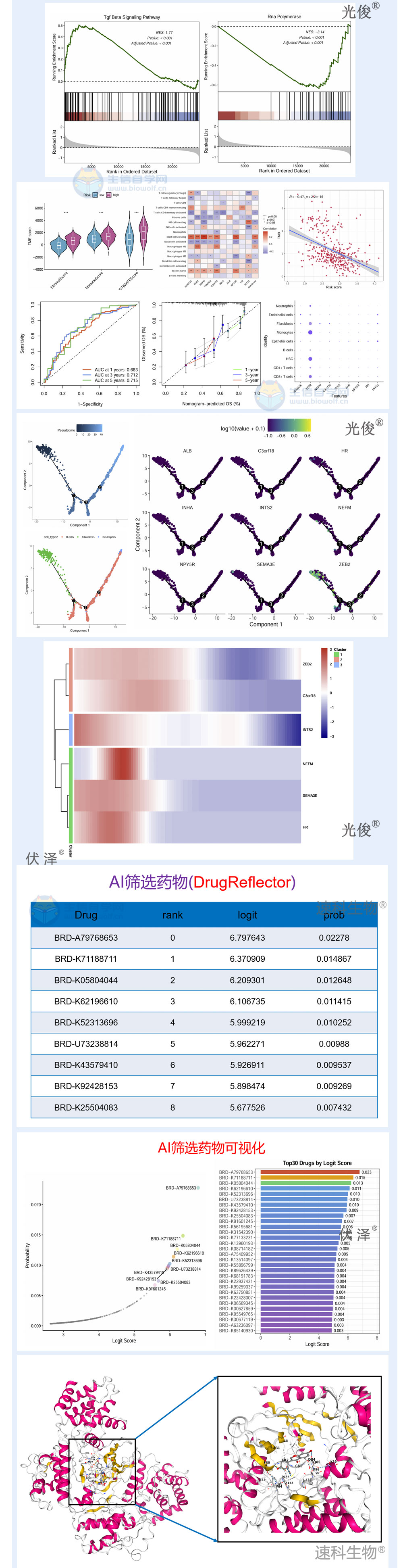 1781127071377961.jpg 263详情_05.jpg