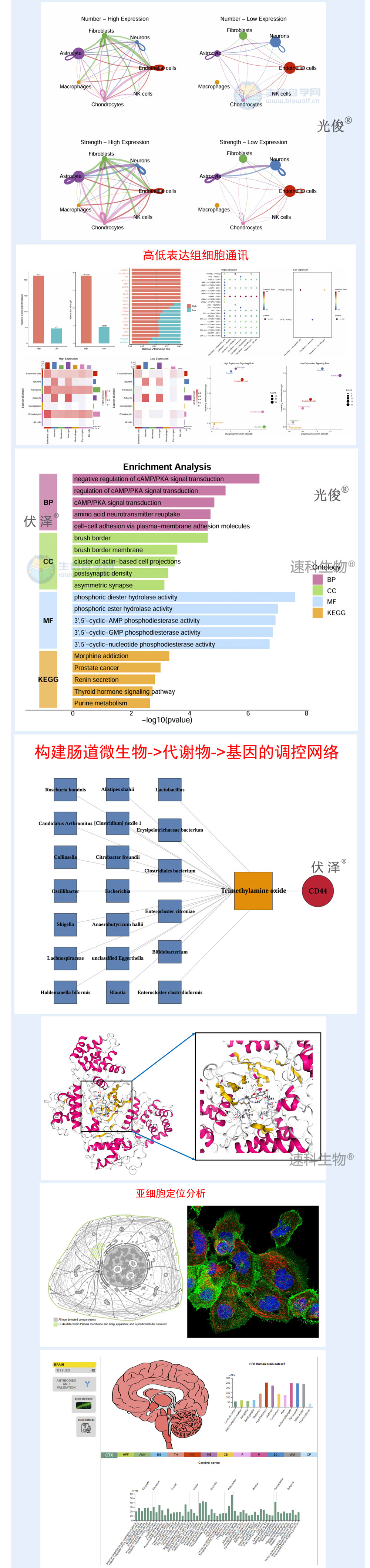 264详情_05.jpg