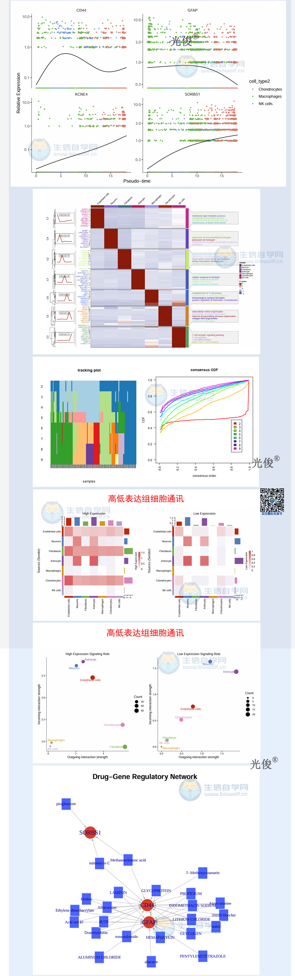 265详情_02.jpg