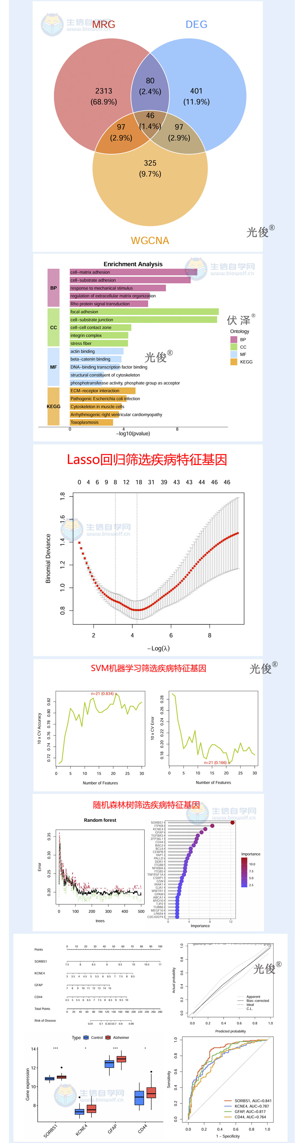 265详情_04.jpg