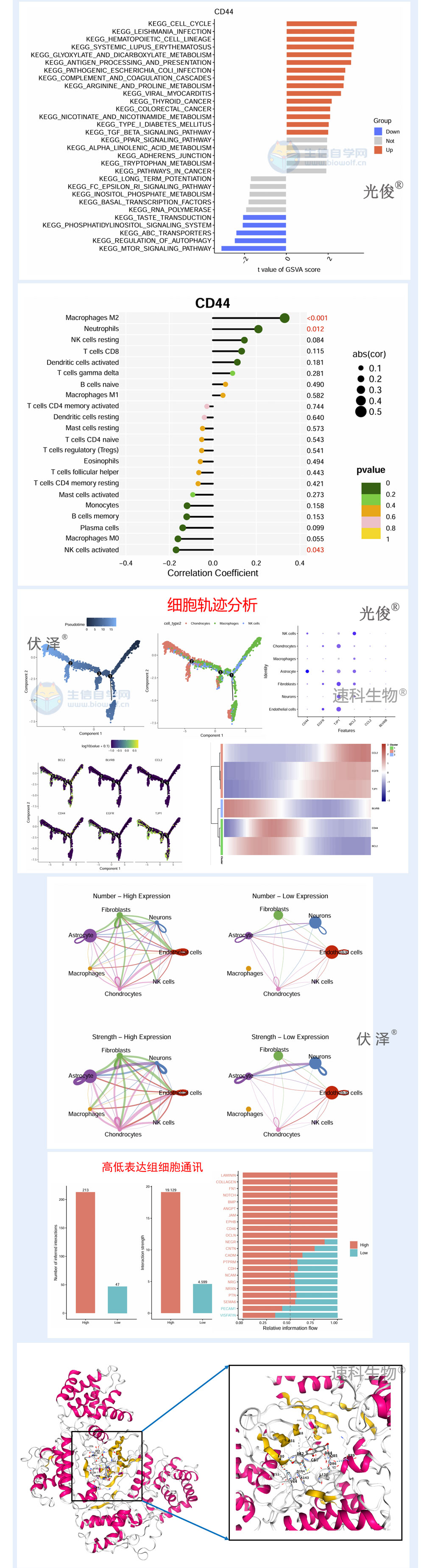 265详情_05.jpg