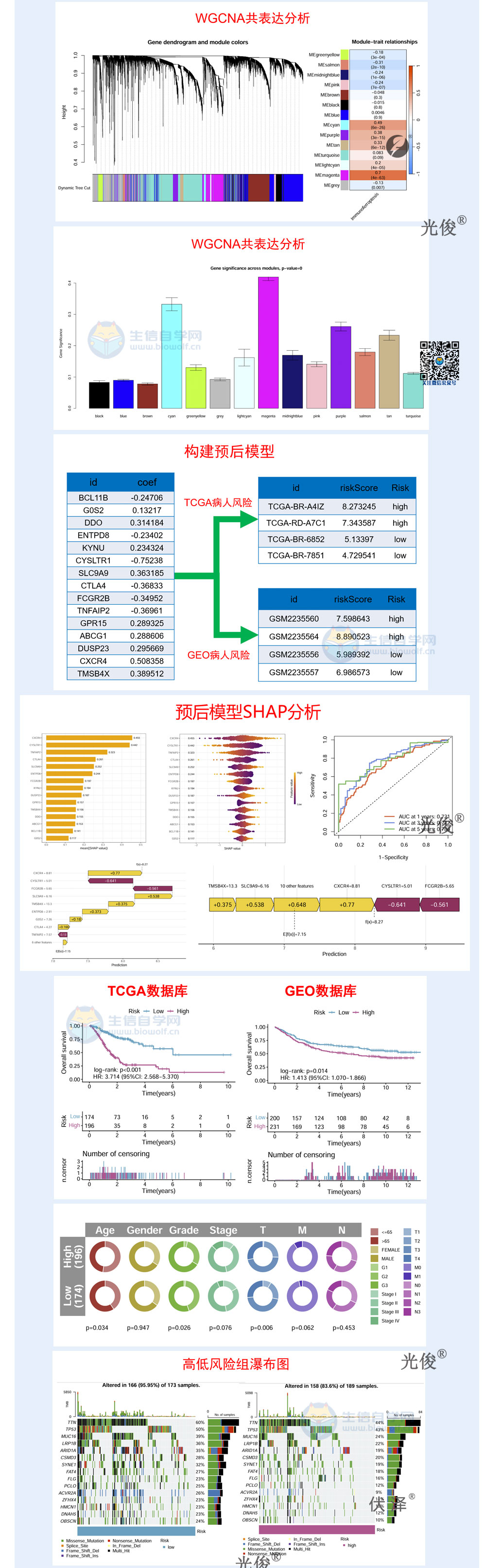 1786658225402774.jpg 269详情_03.jpg