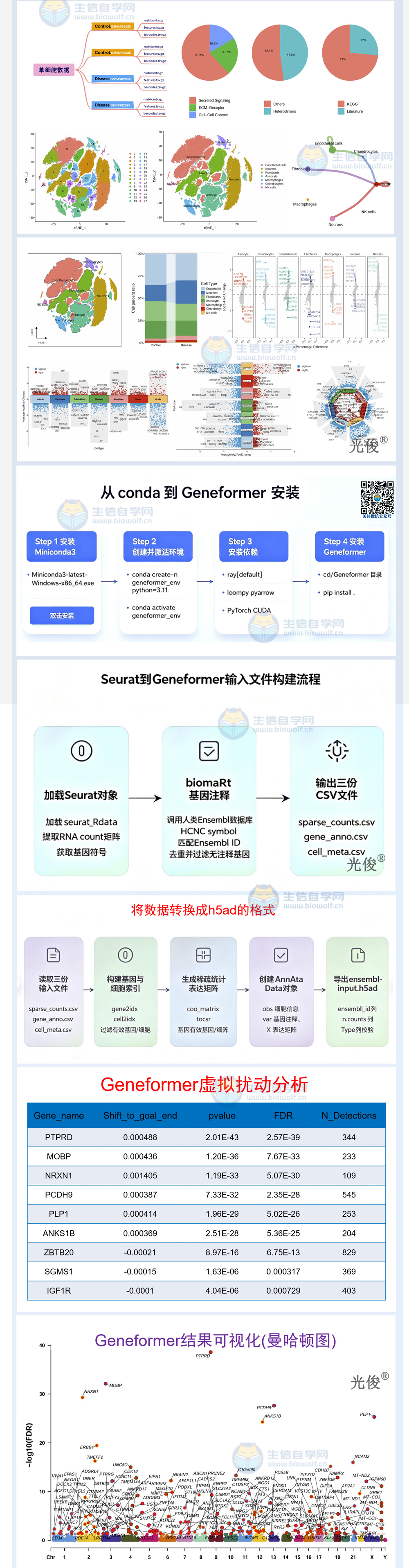 1787262287343364.jpg 270详情_02.jpg