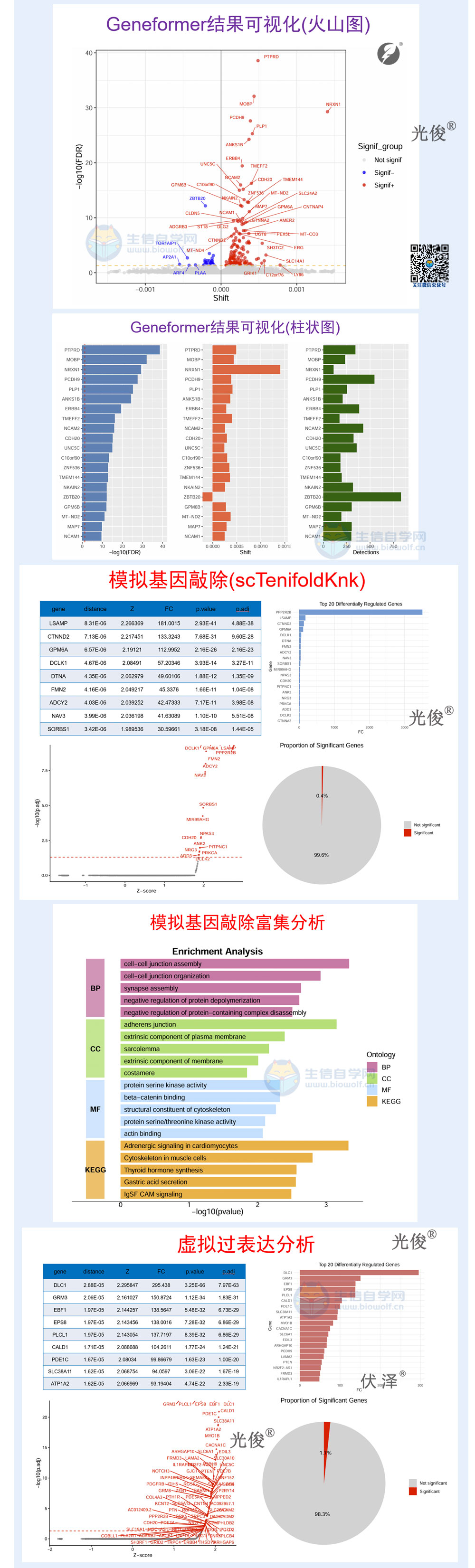 1787262290175469.jpg 270详情_03.jpg