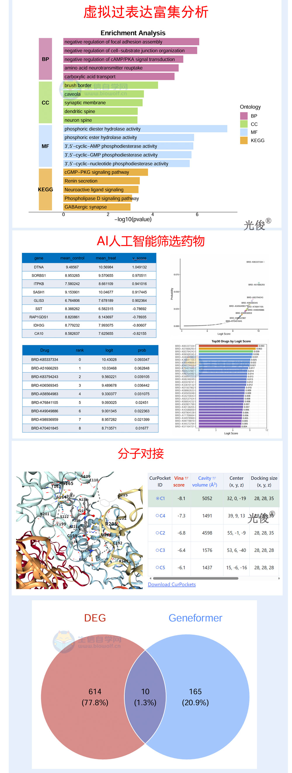 1787262299364764.jpg 270详情_04.jpg