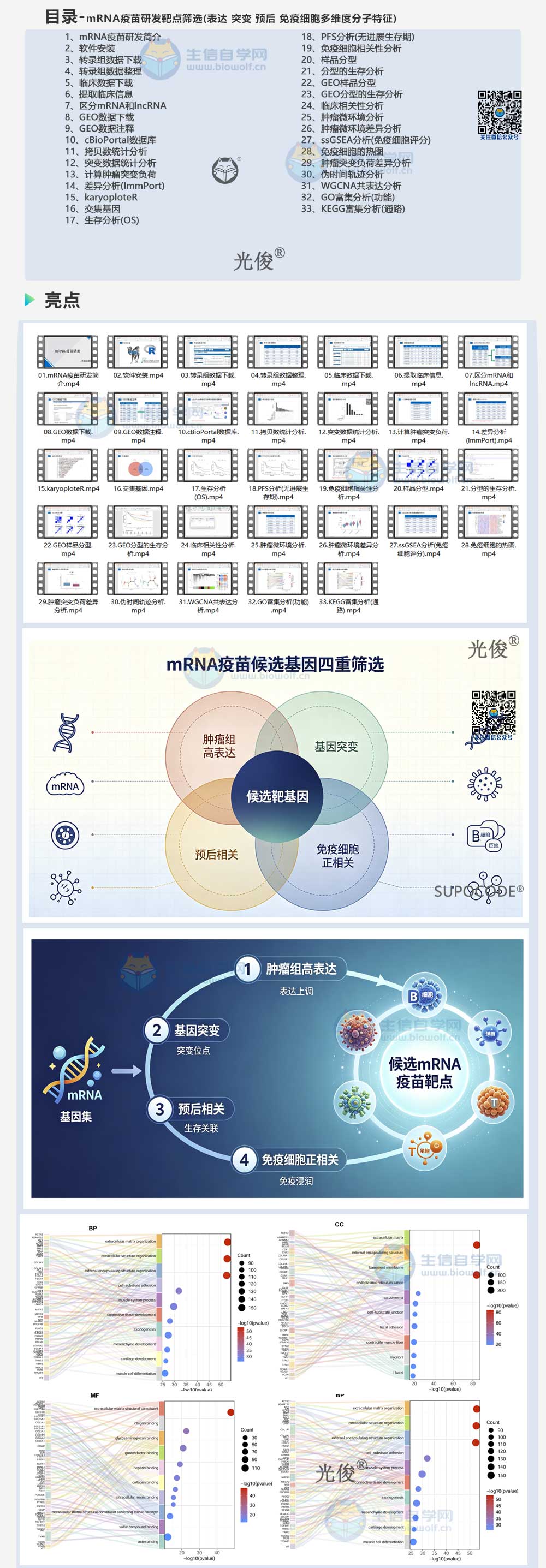 271详情_01.jpg