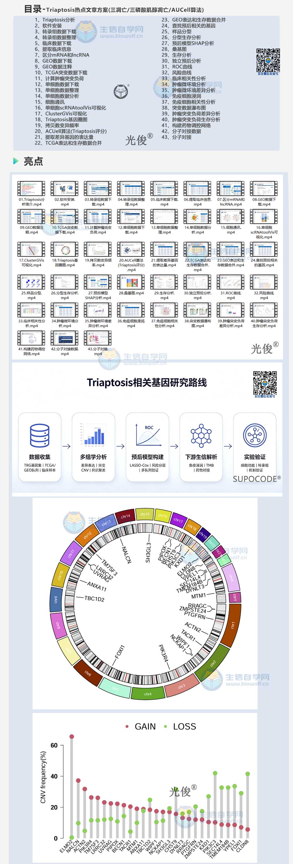 1789341690731956.jpg 272详情_01.jpg