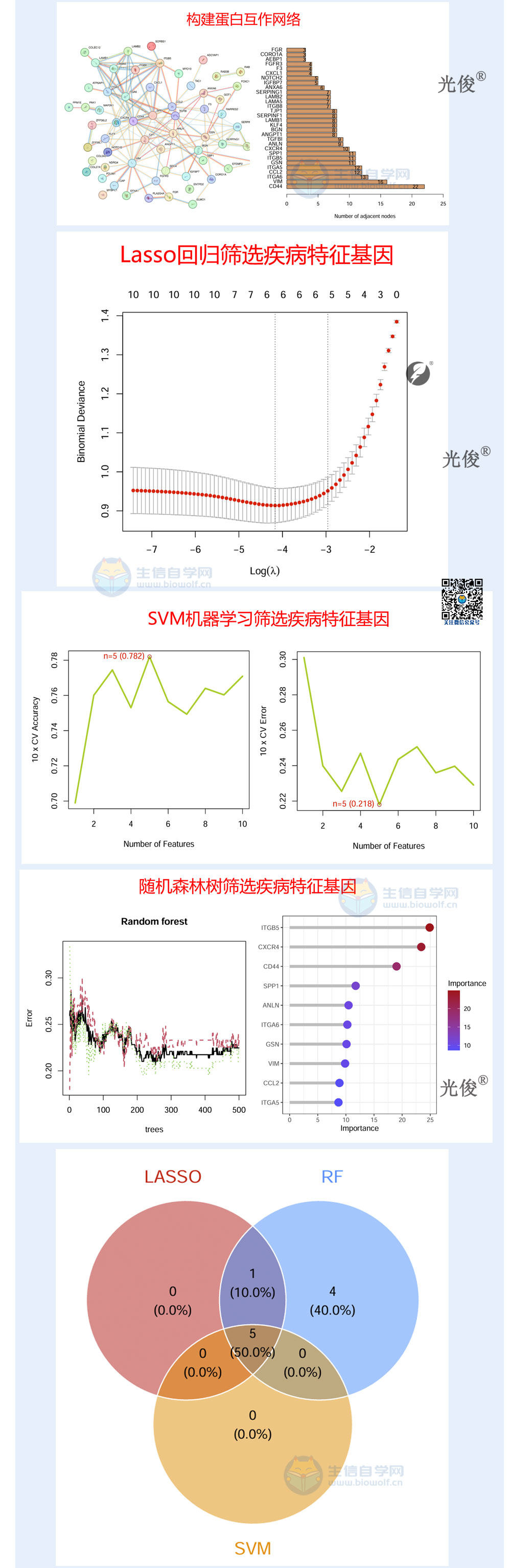 273详情_03.jpg