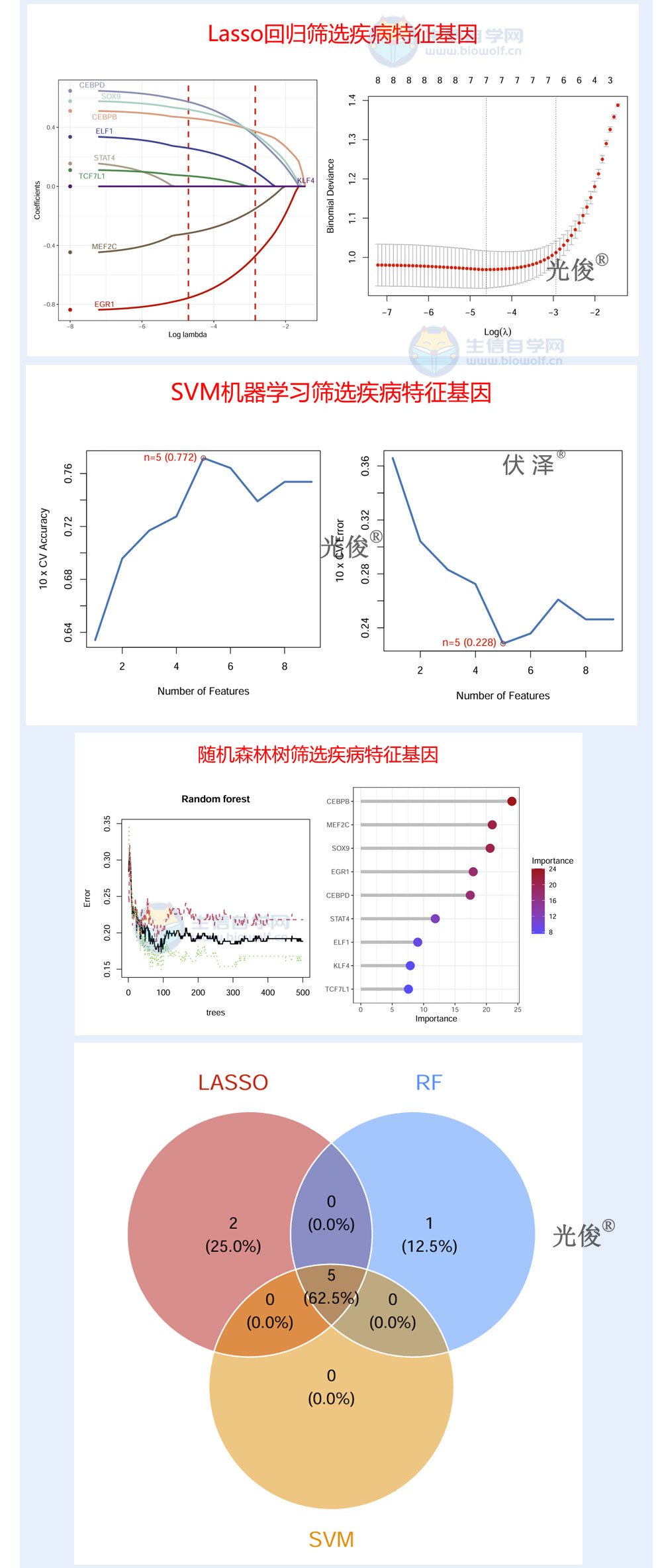 275详情_04.jpg