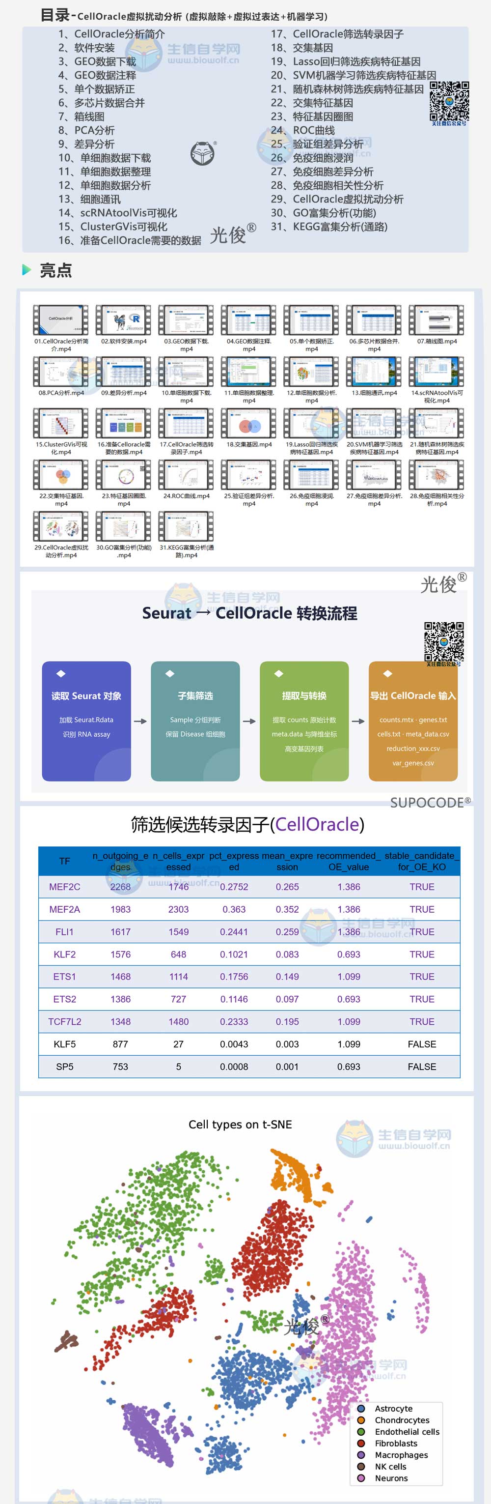 275详情_01.jpg