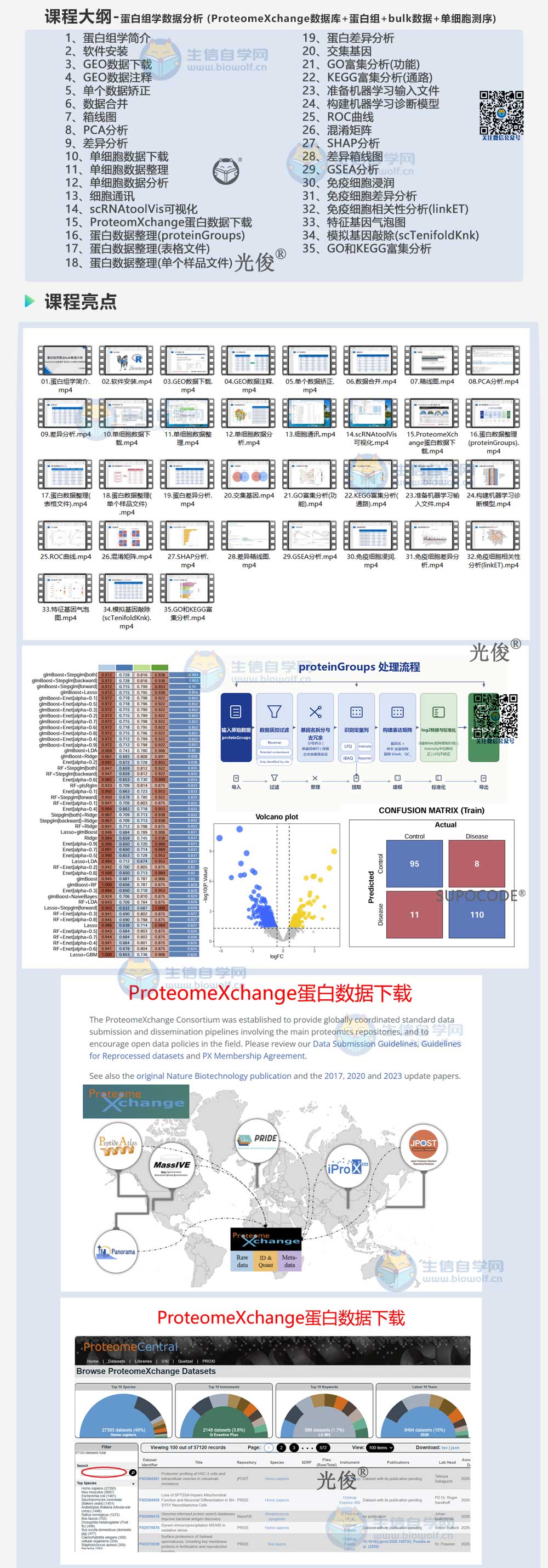 1792448563438124.jpg 276详情_01.jpg