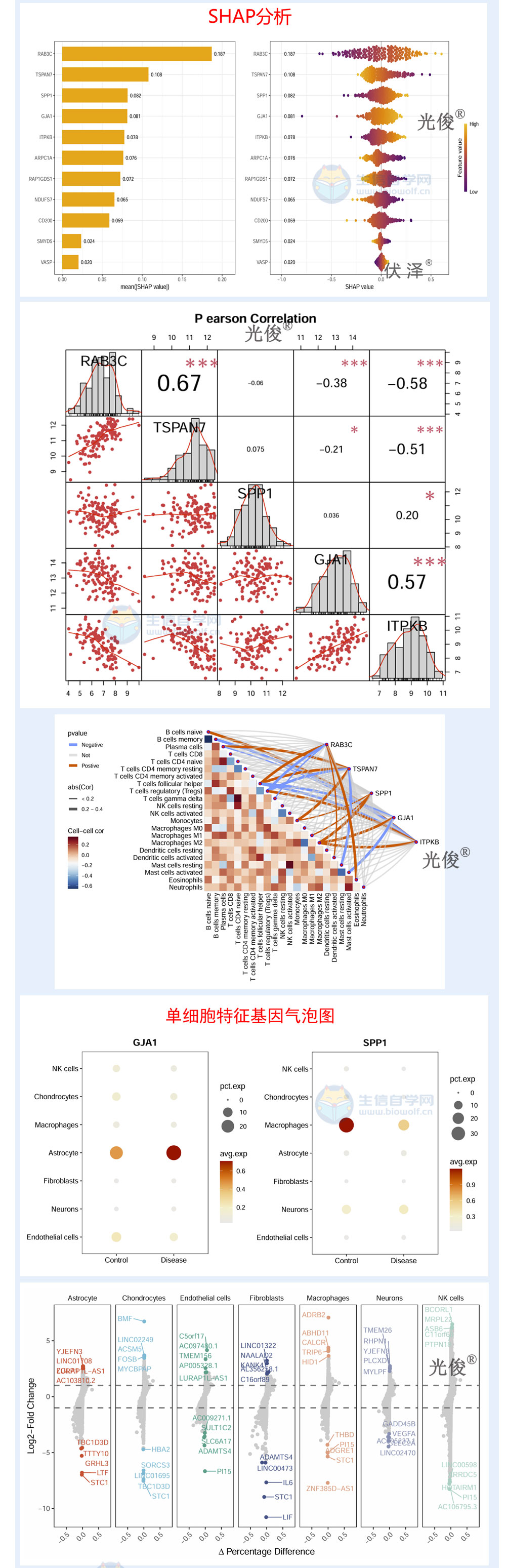 1792448578482765.jpg 276详情_04.jpg