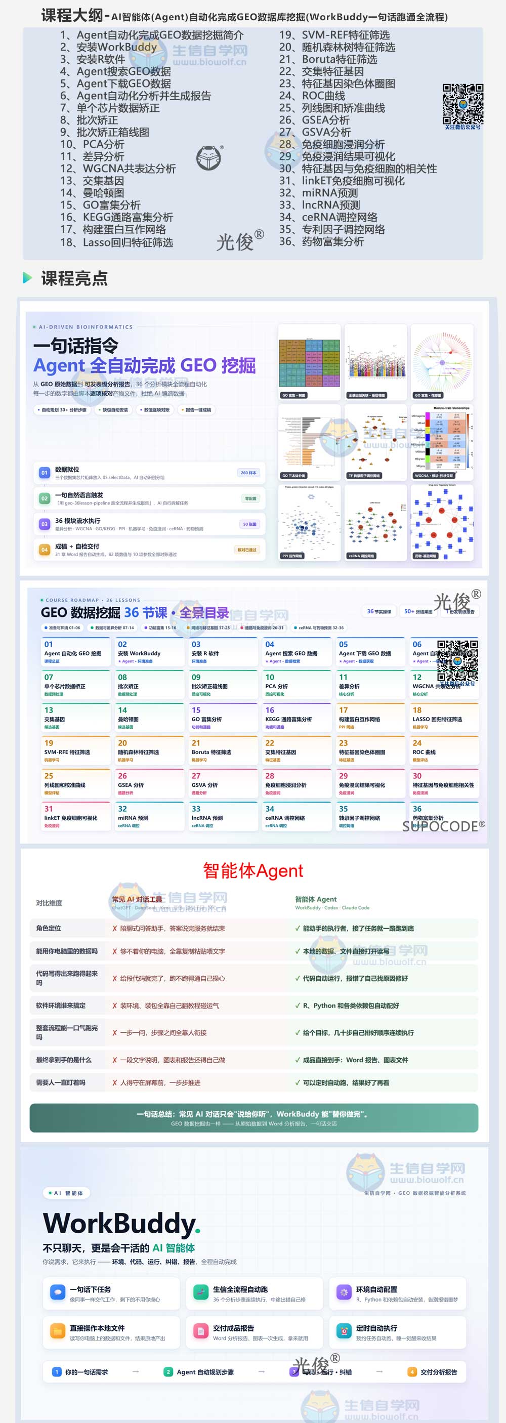 277详情_01.jpg