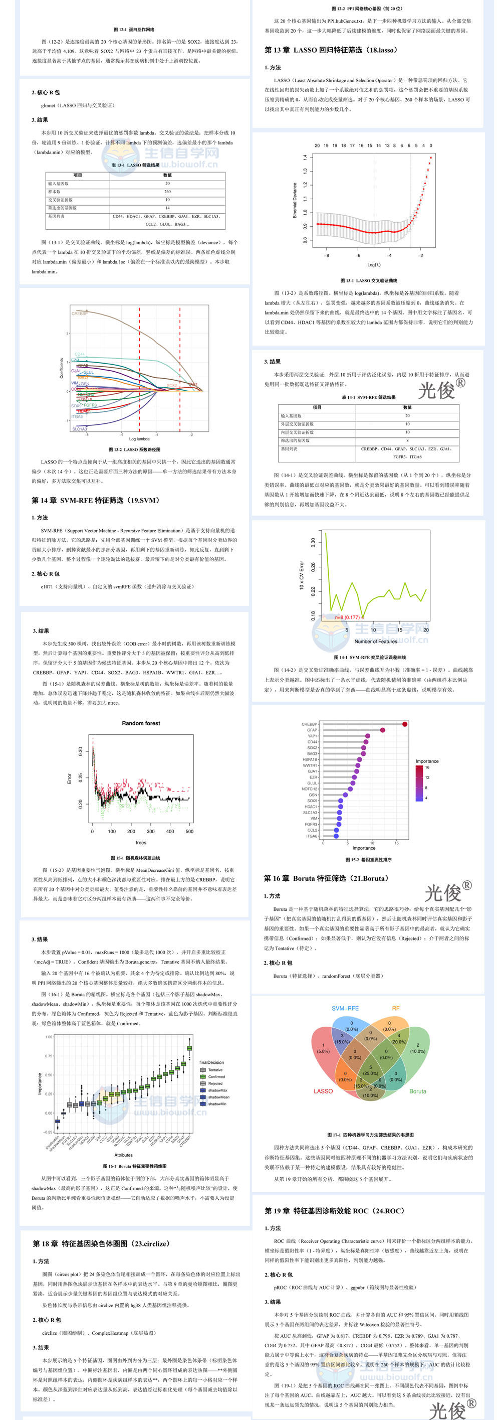 277详情_04.jpg